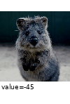 ../_images/add.gif