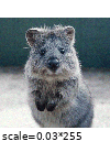 ../_images/additivegaussiannoise_per_channel_true.gif