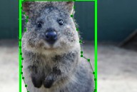 ../_images/affine_bbs.jpg