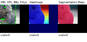 ../_images/affine_cval.gif