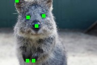 ../_images/affine_kps.jpg