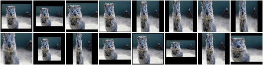 Affine scale independently