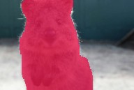 ../_images/affine_segmap.jpg