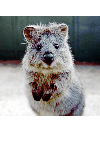 ../_images/allchannels_histogramequalization.gif