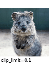 ../_images/allchannelsclahe.gif