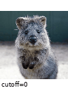 ../_images/autocontrast.gif