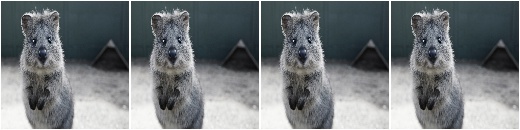 Alpha-blend images with grayscale images