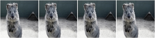 Alpha-blend images pixelwise with grayscale images