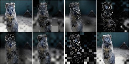 BlendAlphaFrequencyNoise with EdgeDetect