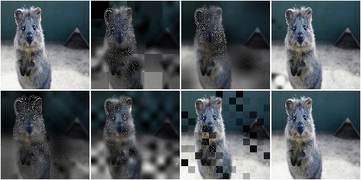 BlendAlphaFrequencyNoise with EdgeDetect and gaussian-distributed sigmoid threshold