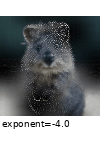../_images/blendalphafrequencynoise_with_edgedetect_1_0.gif