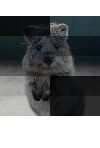 ../_images/blendalpharegulargrid_with_multiply_0_0_0_5.gif