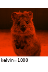 ../_images/changecolortemperature.gif