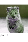 ../_images/channelshuffle.gif
