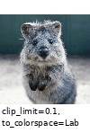 ../_images/clahe.gif