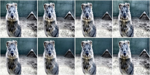 CLAHE with random tile_grid_size_px