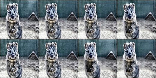 CLAHE with uniformly-distributed tile_grid_size_px