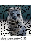 ../_images/coarsedropout_p_0_2.gif