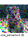 ../_images/coarsedropout_p_0_2_per_channel_true.gif
