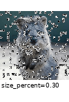 ../_images/coarsesaltandpepper_p_0_2.gif