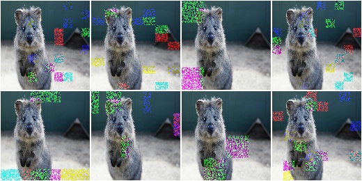 CoarseSaltAndPepper with per_channel