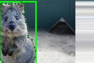 ../_images/cropandpad_bbs.jpg
