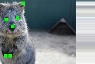 ../_images/cropandpad_kps.jpg