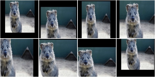 Crop/Pad by -10 to 10 percent