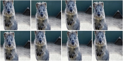 Crop down to 100x100 with random division of crop amounts onto the different image sides