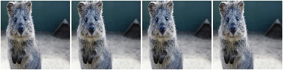 Crop down to 100x100 with random division of crop amounts onto the different image sides
