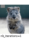 ../_images/cutout.gif