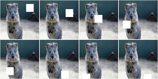 Cutout with cval=255