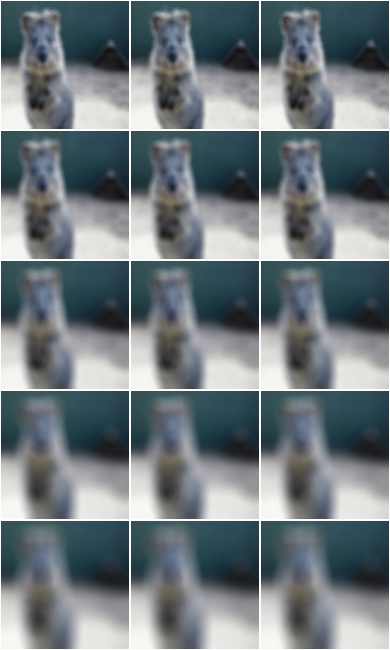 DefocusBlur