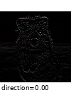 ../_images/directededgedetect_alpha_1.gif
