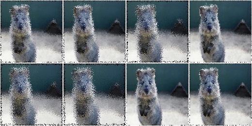 ElasticTransformation