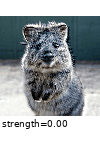 ../_images/emboss_alpha_1.gif