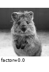 ../_images/enhancecolor.gif