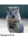 ../_images/enhancesharpness.gif