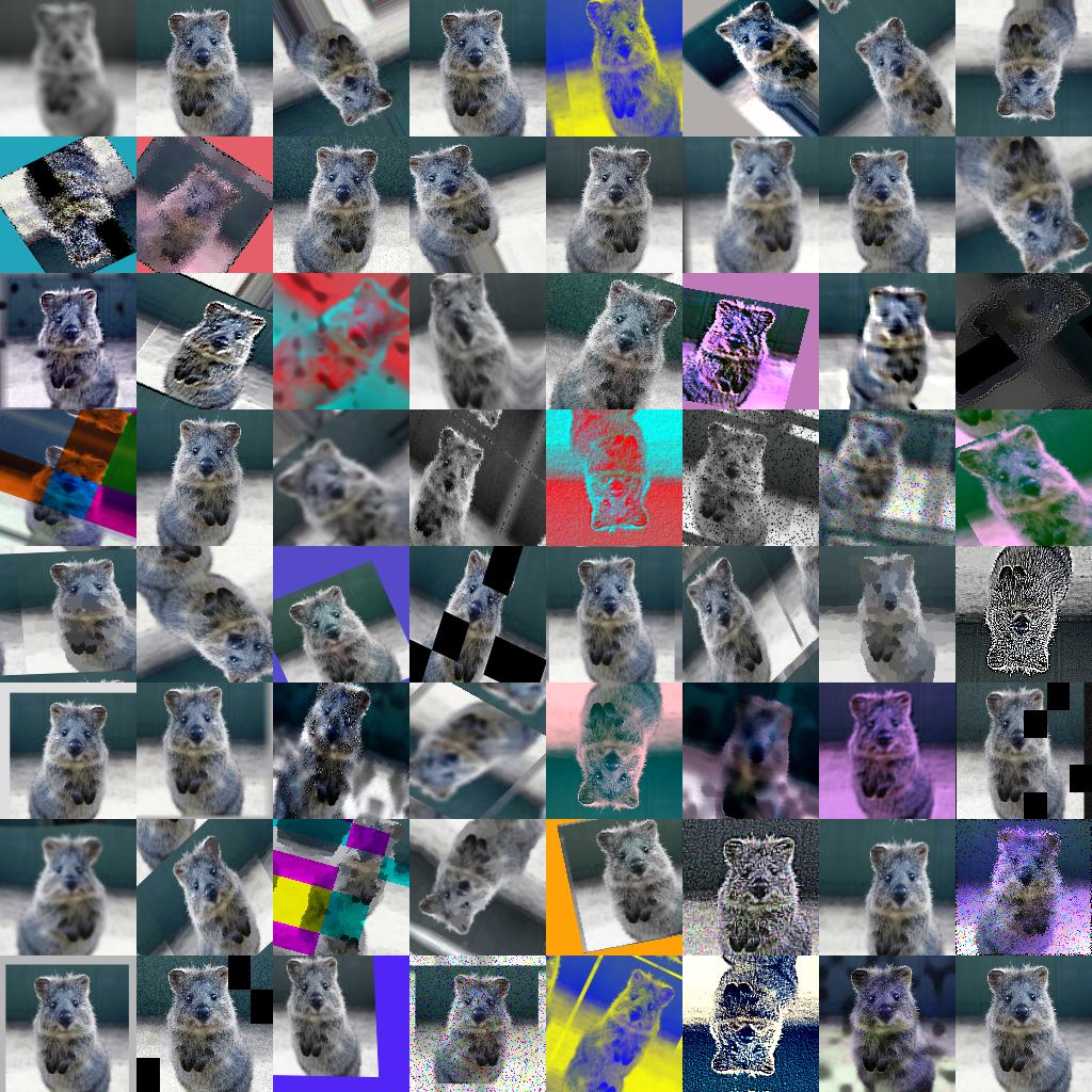 ../_images/examples_grid.jpg