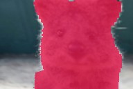 ../_images/fliplr_perspective_segmap.jpg