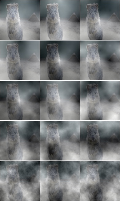 Fog