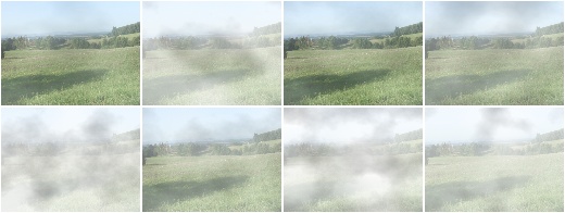 Fog