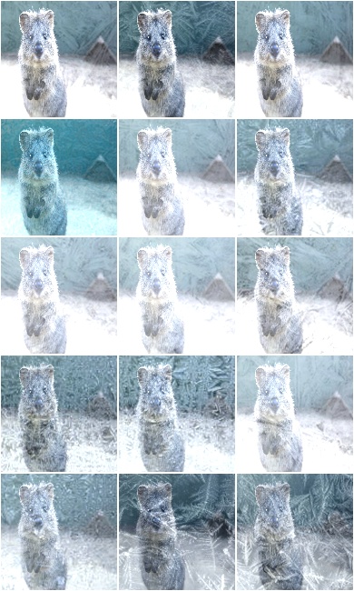 Frost