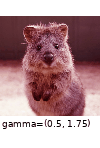 ../_images/gammacontrast_per_channel_true.gif