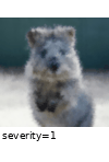 ../_images/glassblur.gif
