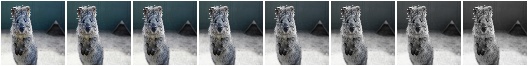 Grayscale vary alpha