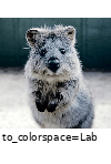 ../_images/histogramequalization.gif