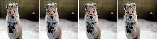 HistogramEqualization  with images in BGR and only HSV as target colorspace