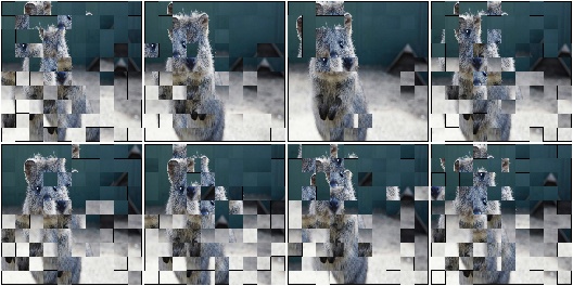 Jigsaw with random number of max_steps