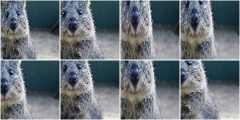 KeepSizeByResize + Crop